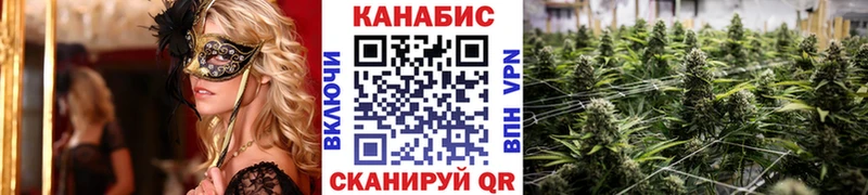 Купить закладку Кетамин  СОЛЬ  Гашиш  Меф  Cocaine  Бошки Шишки  АМФ  Истра