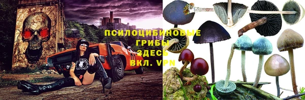 дживик Елизово